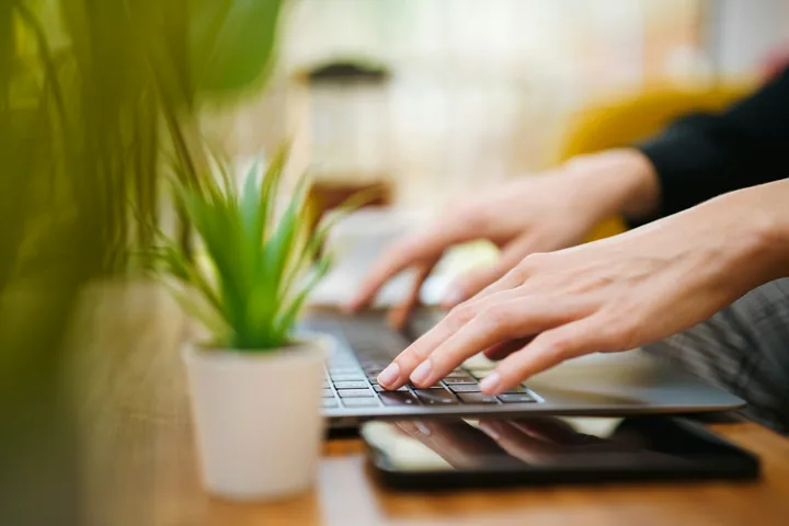 Hands typing on a laptop beside a small plant
