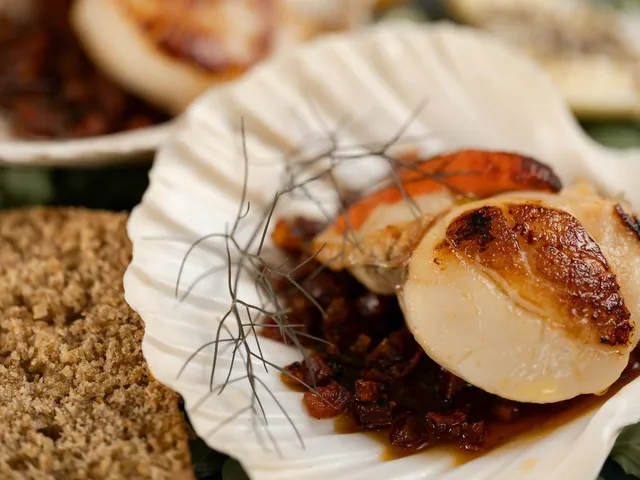 Hand-dived scallop